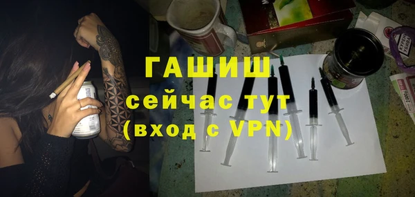 МДПВ Каменка