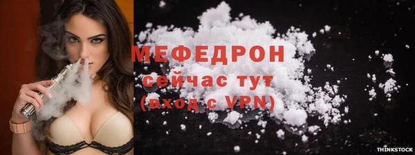 МДПВ Каменка