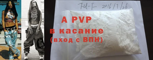 МДПВ Каменка