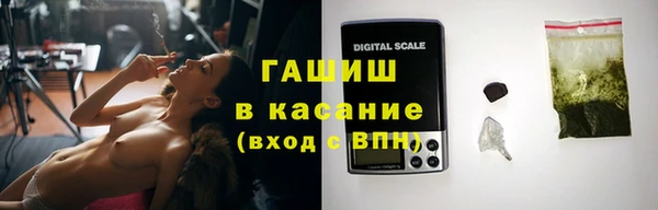 МДПВ Каменка