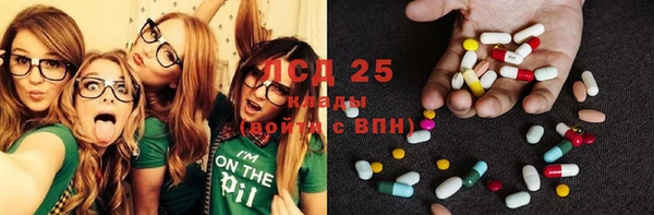МДПВ Каменка